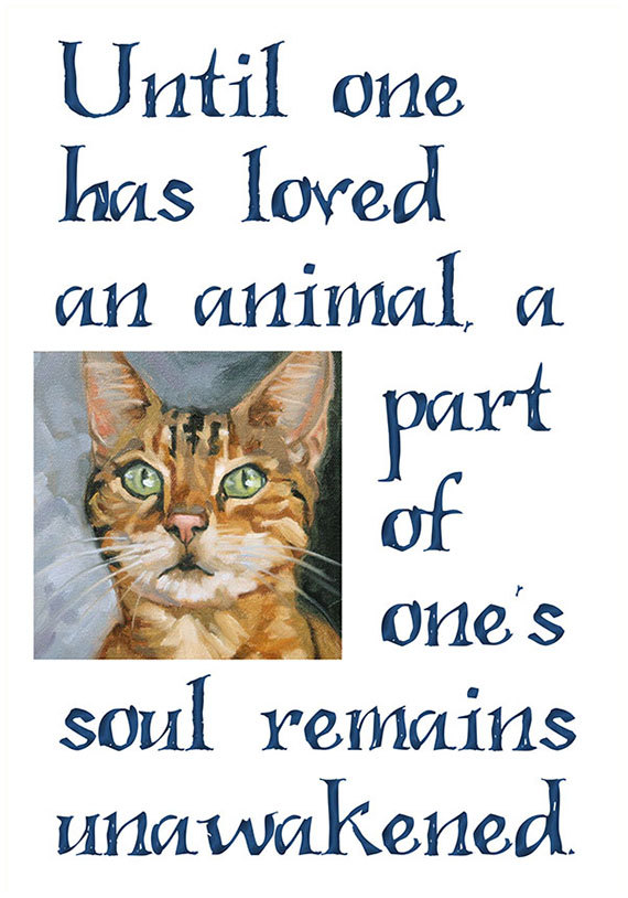 Cat Lover's Print, Giclee Print In 11x14 Mat, "until One Has Loved"