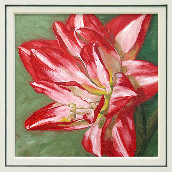 Floral Art Print, From Original Oil Painting Of A Red And White Amaryllis, In 8x10 Double Mat, "heart Felt"